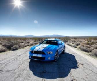 Ford Shelby Gt500 Fond D'écran Ford Voitures