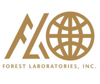 Laboratórios De Floresta