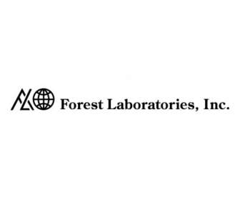 лес лаборатории