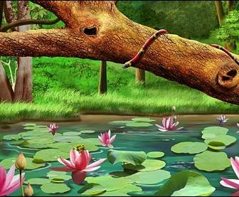 Forest Of Lotus Pool Psd Layered