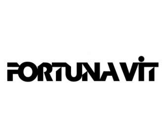 Fortuna-vit