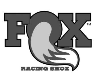 Fox đua Shox