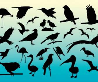 الطيور الحرة ناقل الصور الظلية