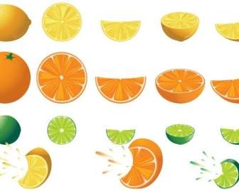 無料のベクトルを柑橘類