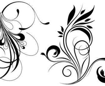 Free Vector Floral