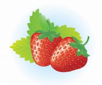 Kostenlose Frische Und Leckere Erdbeeren Vector Illustration