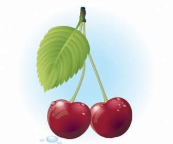 Free Red Cherry Vector Illustration