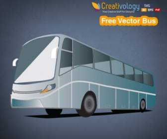 Autobús De Vector Libre