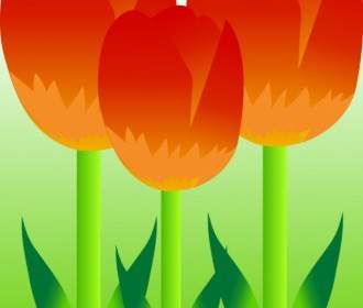 Vecteur Libre Tulipes Colorées