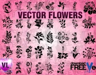 Бесплатные векторные цветы