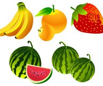 Free Vector Fruta