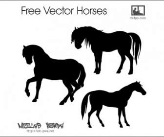 Free Vector Cavalos