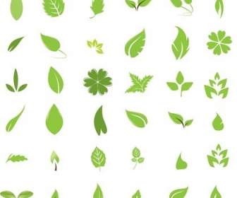 Free Vector Leaves