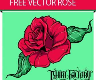Vector Libre Rosa