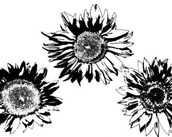 Free Vectors Sunflowers