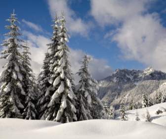 Nieve Fresca Sobre La Naturaleza De Montaña Denny Wallpaper Invierno