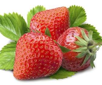 Frische Erdbeeren Bild