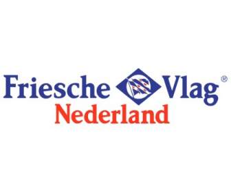 Trasformatore Vlag Nederland