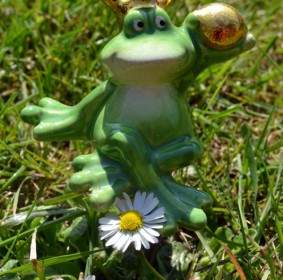 Frog Frog Prince Fairytale Characters