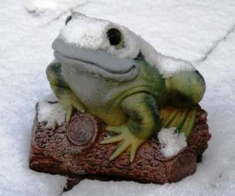 青蛙裝飾