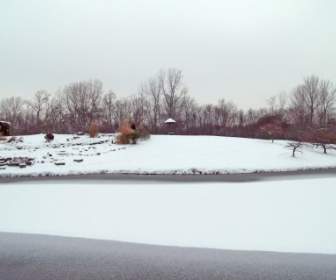 얼어붙은 연못