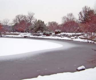 冰凍的池塘