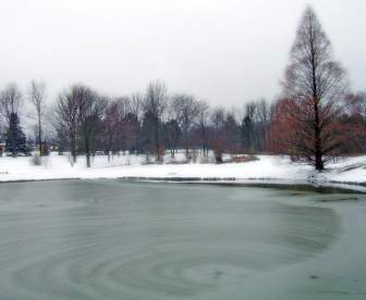 冰凍的池塘，在公園
