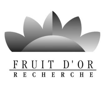 Fruit Dor Recherche