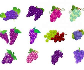 Fruit Of Grapes Vector