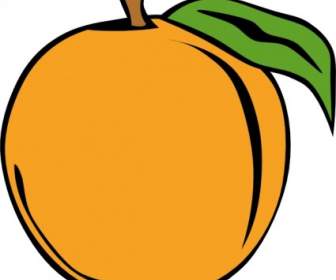 Obst Orange ClipArt