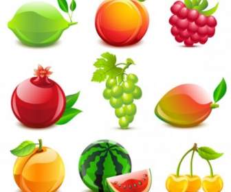 Fruits Images Vectorielles