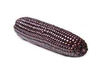 Fruits And Vegetables Sd Purple Corn