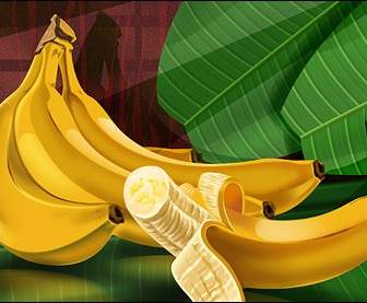フルーツのバナナ Psd 層状材料