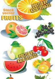 果物のベクトル