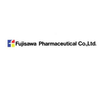 Fujisawa Farmasi Co