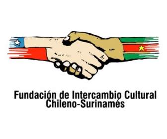 مؤسسة دي التضامن الشيلي الثقافية سوريناميس