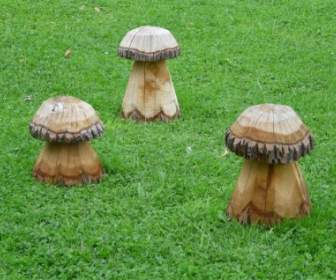 грибы древесины луг