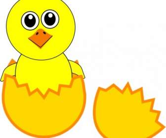Funny Chick Cartoon Newborn Coming Out From The Egg