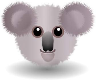 Lustige Koala Gesicht Cartoon