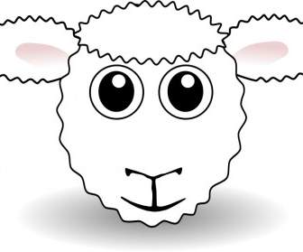 śmieszne Owce Twarz Biała Kreskówka