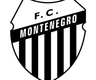 Futebol Clube Montenegro De Montenegro Rs