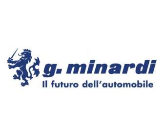 Minardi G