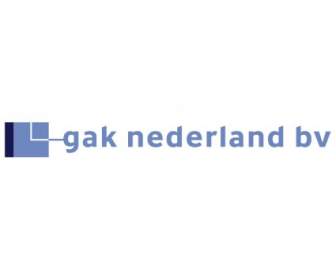 غاك Nederland Bv