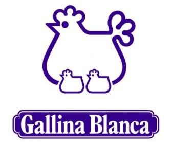 Gallina ซาบลังก้า