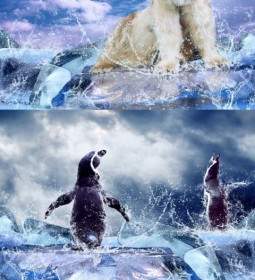 급속도 빙하와 북극곰과 펭귄 Highdefinition 그림