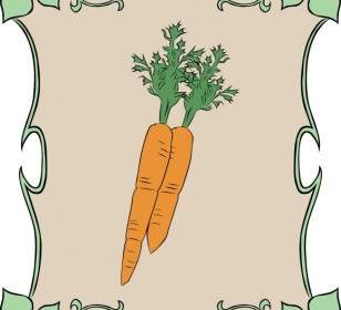 Zanahorias De Signo Jardín