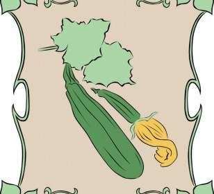 Zucchine Segno Giardino