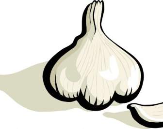 Garlic Clip Art