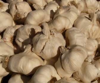 garlic sharp aromatic