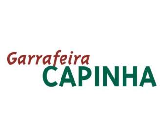 Garrafeira Capinha